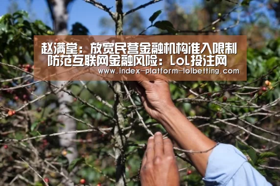 赵满堂:放宽民营金融机构准入限制 防范互联网金融风险:LoL投注网站 (图4) LoL投注网站