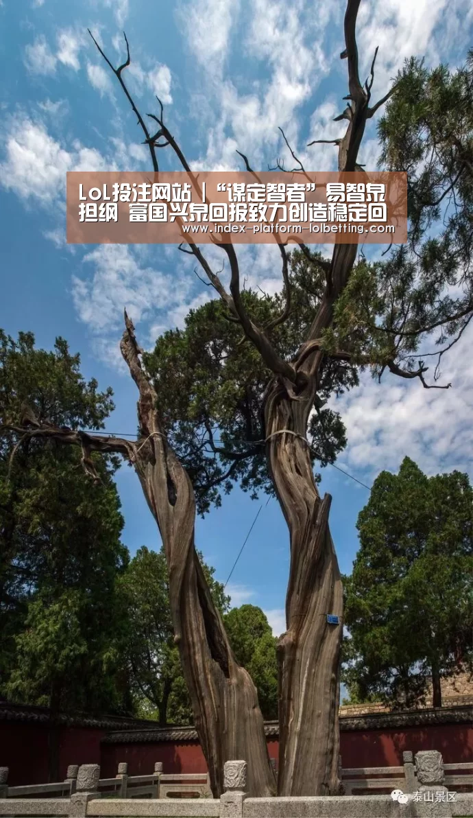 LoL投注网站 |“谋定智者”易智泉担纲 富国兴泉回报致力创造稳定回报