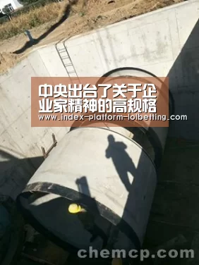 LoL投注网站 