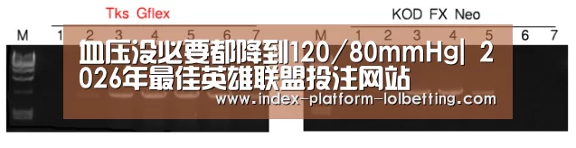 血压没必要都降到120/80mmHg| 2026年最佳英雄联盟投注网站