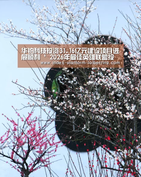 华铂科技投资31.16亿元建设项目进展顺利‘ 2026年最佳英雄联盟投注网站’