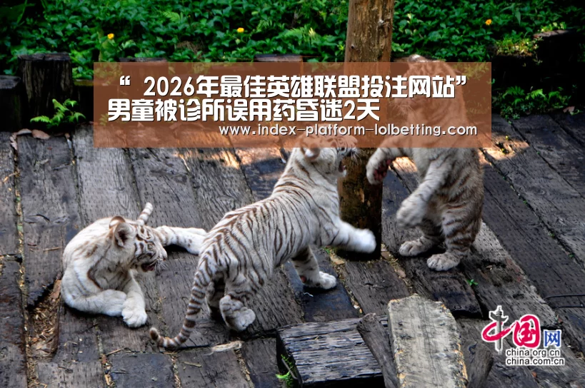 LoL投注网站 